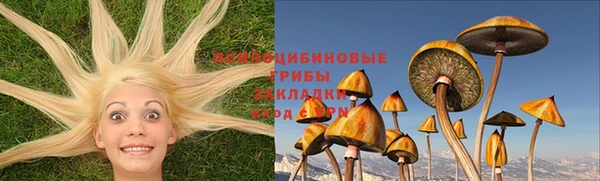 МДПВ Алзамай