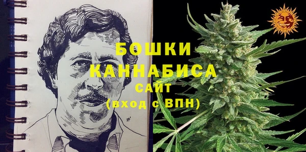 индика Аркадак