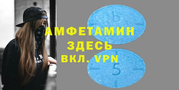 индика Аркадак