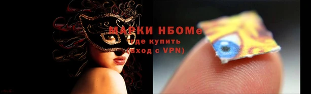 индика Аркадак