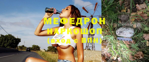 индика Аркадак