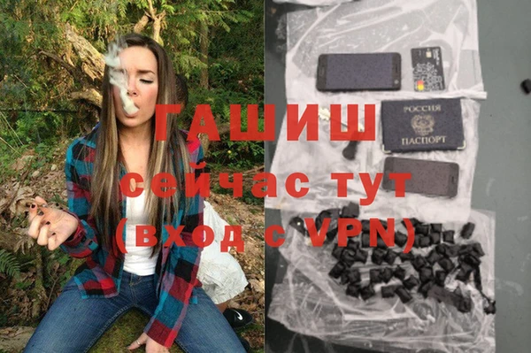 индика Аркадак