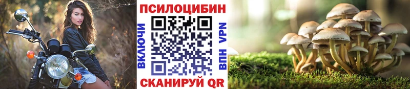 Купить где  Калач-на-Дону  Галлюциногенные грибы Psilocybine cubensis 