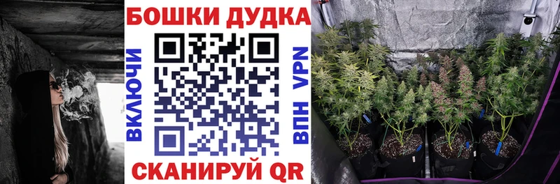 Конопля семена  Купить где  Калач-на-Дону 